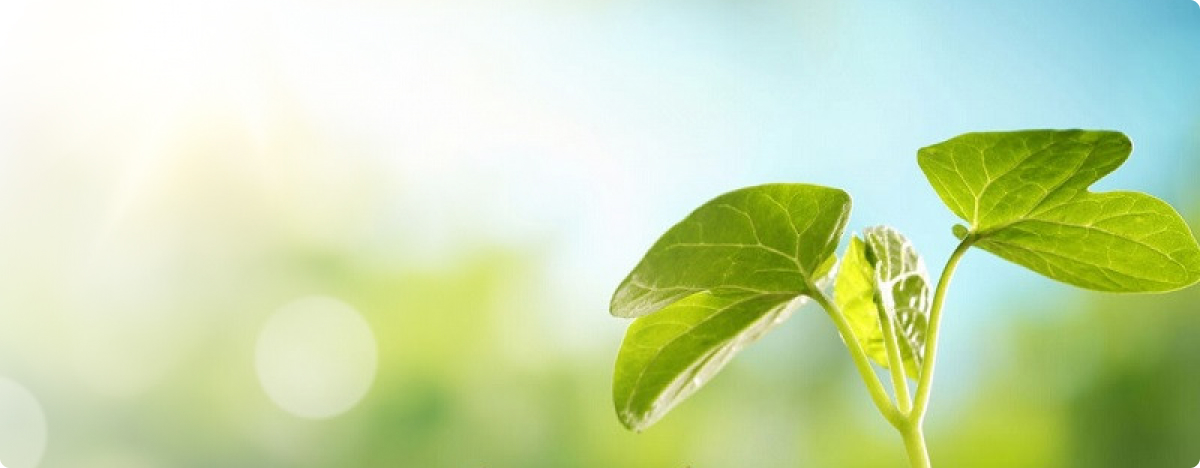 Статья про конвейеры 